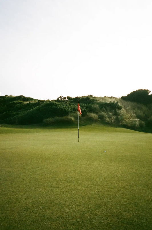 Rustic Canyon: Gather with Friends, Embrace the Breeze